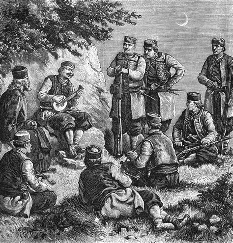 Ilustracija ročnega opraševanja s čopičem