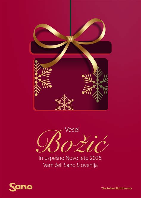 Infografika, ki prikazuje priporočeno sestavo uravnoteženega obroka za nosečnice.