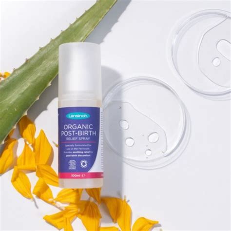 primeri vaj za nosečnice za lajšanje bolečin v križu