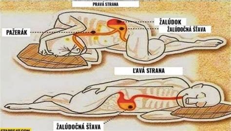 Diagram, ki prikazuje pretok krvi med spanjem na levem boku med nosečnostjo