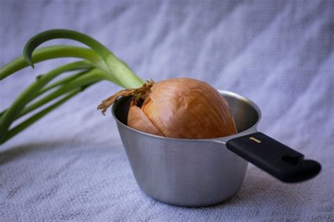 Simbol za vonj čebule