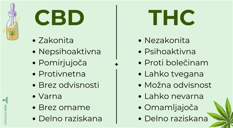 Diagram, ki prikazuje razlike med THC in CBD v rastlini konoplje.