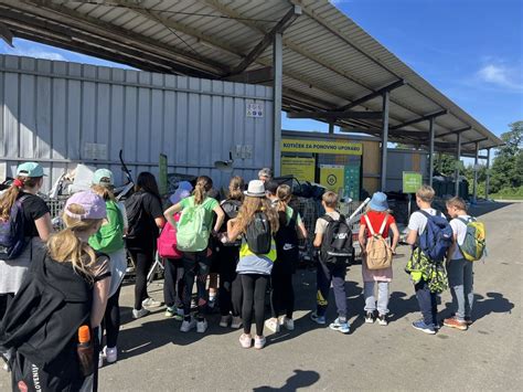 Diagram sečilnega sistema s poudarkom na mehurju in ledvicah