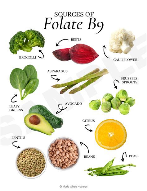 Infografika z različnimi živili, bogatimi s folati