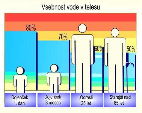 Diagram prikazuje delež vode v človeškem telesu.