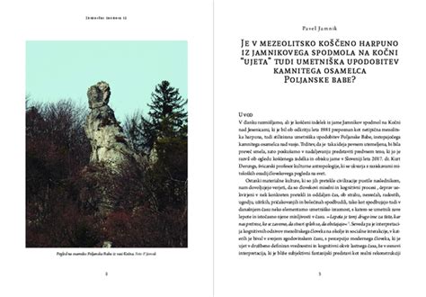 Umetniška upodobitev starodavnega splava na reki