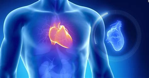 Infografika prikazuje različne vzroke za srčno popuščanje