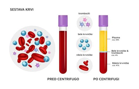 Diagram, ki prikazuje proces sedimentacije eritrocitov v epruveti.