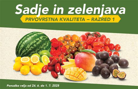 raznoliko sadje in zelenjava