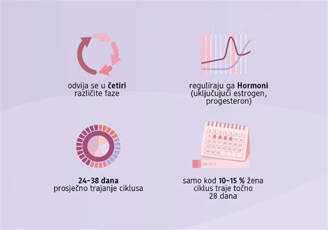 Proces ovulacije