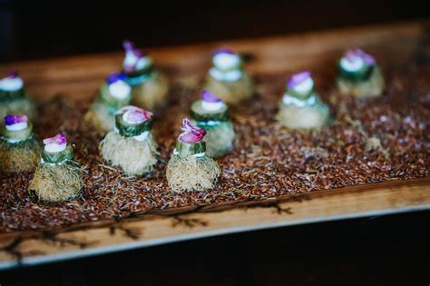 Sveže pridelane sestavine na kmetiji