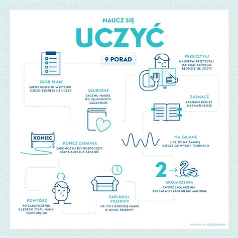 Infografika z urnikom nosečniških pregledov po trimesečjih