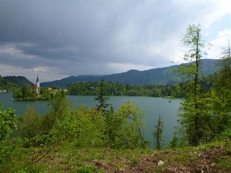 Blejski grad s pogledom na jezero