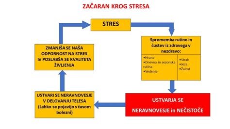 Diagram, ki prikazuje začarani krog stresa in neplodnosti
