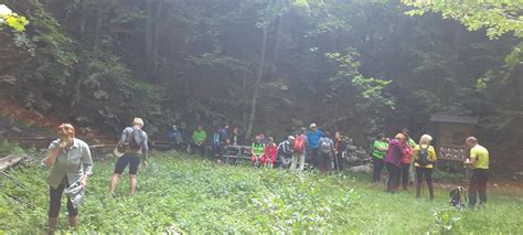 nosečnica v gozdu ob potoku