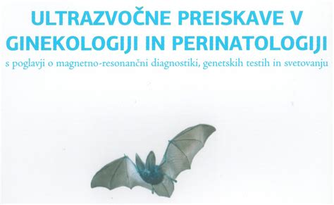 Simbolična upodobitev ultrazvočne preiskave