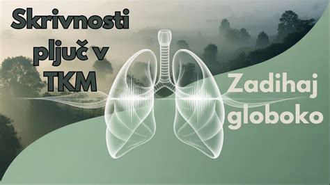 Simbolični prikaz tokov energije v tradicionalni kitajski medicini