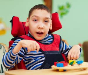 Shematski prikaz možganov s poudarjenimi področji, ki jih lahko prizadene cerebralna paraliza.