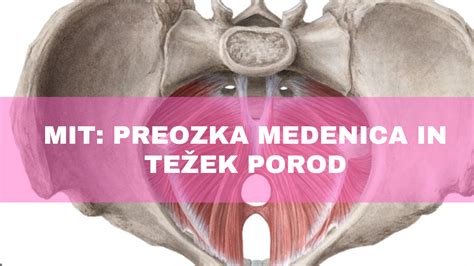 Diagram plodove glave v medenici med porodom