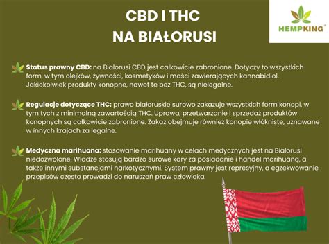 Infografika: Primerjava CBD in THC