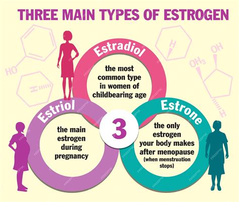 Diagram treh glavnih vrst estrogena: Estron, Estradiol, Estriol