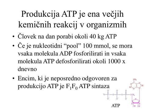 Diagram kemičnih reakcij pri nastajanju HCA in PAH
