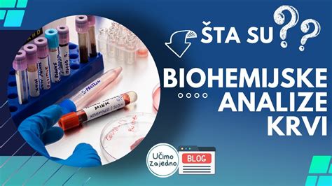 Prikaz povečanja volumna krvi med nosečnostjo