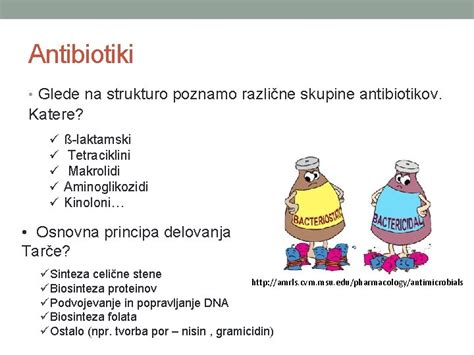Infografika, ki prikazuje različne skupine antibiotikov in njihovo varnost v nosečnosti, z izrazitim poudarkom na varnih alternativah za nosečnice z alergijo na penicilin.