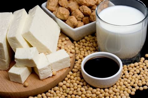 različni izdelki iz soje: tofu, tempeh, sojino mleko, sojina omaka