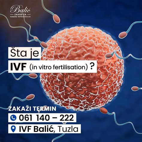 Statistika uspešnosti IVF glede na starost ženske