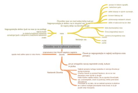 Diagram človeške posteljice