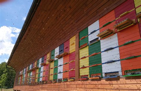 Čebelarstvo in propolis