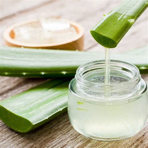Slika svežega lista aloe vere, iz katerega kaplja gel.