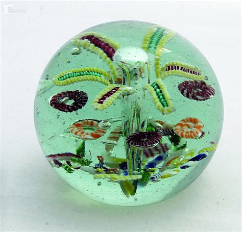 Različni tipi paradižnika