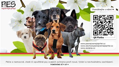 Dojenček z nagnjeno glavo (tortikolis)