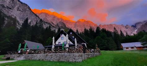 Par na podeželju med nabiranjem jagodičja