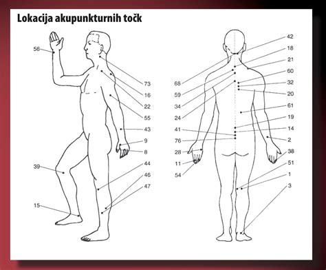 Diagram akupunkturnih točk na telesu