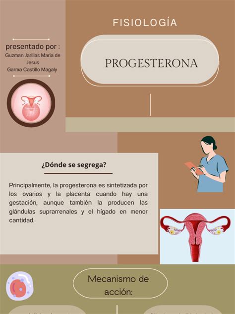 Diagram proizvodnje progesterona v jajčnikih in posteljici