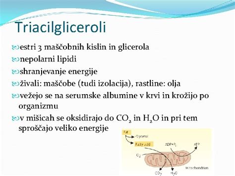 Diagram kemične strukture maščobnih kislin