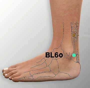 Prikaz točke Mehur 60 (BL60) na nogi