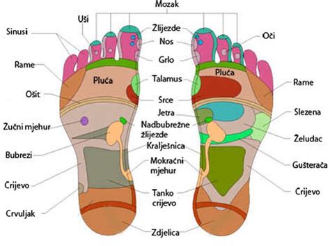 Prikaz točke Mehur 67 (BL67) na stopalu