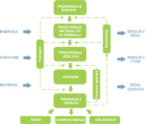 Diagram življenjskega cikla čebele