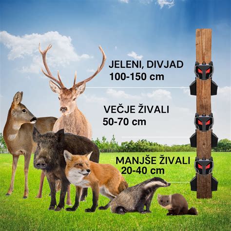 Nosečnica z rdečimi, utrujenimi očmi