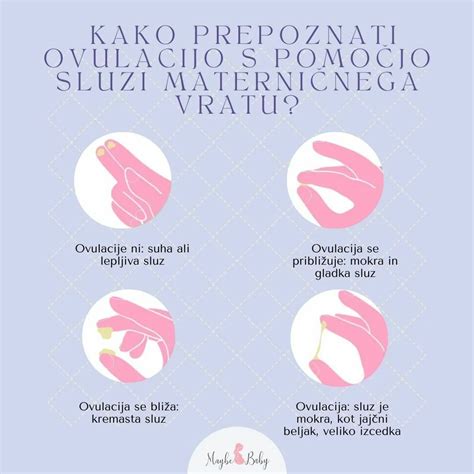 diagram materničnega vratu v nosečnosti