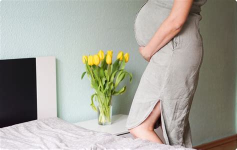 Diagram prikazuje spremembe vaginalnega izcedka skozi nosečnost.