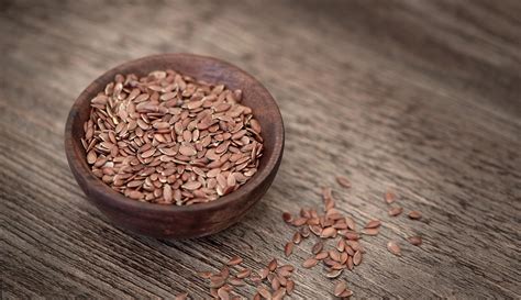chia semena in laneno seme