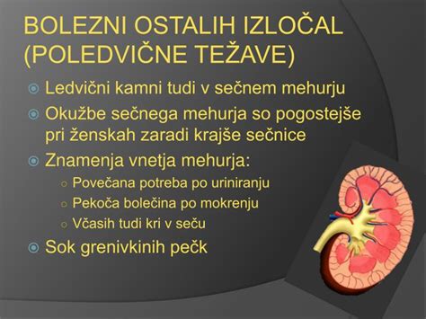 Diagram človeškega urinarija s poudarki na mehurju in ledvicah