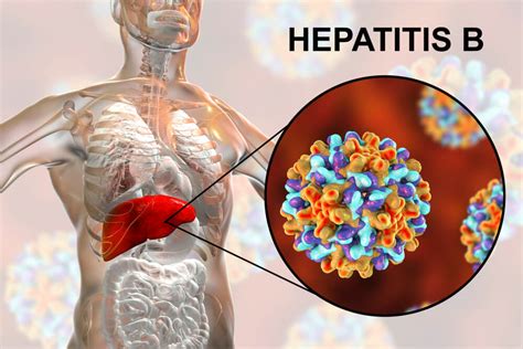Simbol virusa hepatitisa B