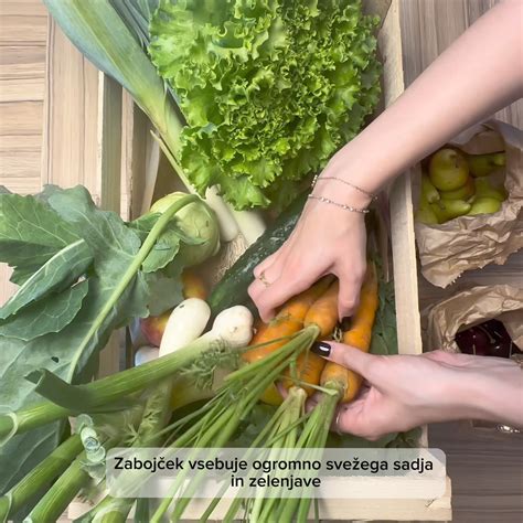 Raznolika paleta sveže zelenjave in sadja, bogatega s folati
