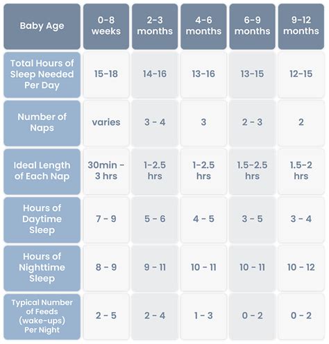 infographic showing baby sleep patterns by age